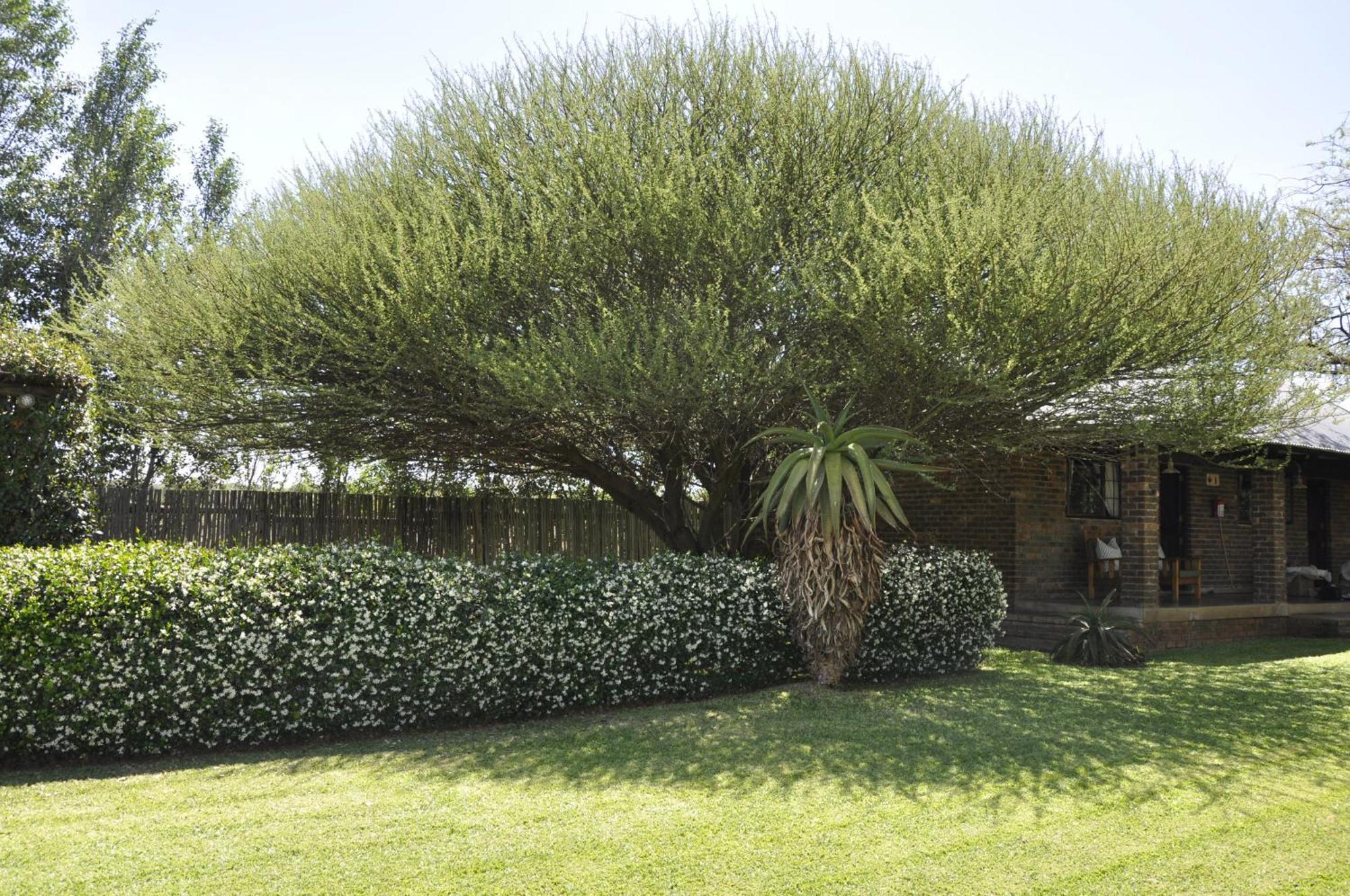 Grincourt B&B- With No Load Shedding ポロクワネ エクステリア 写真
